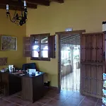 Estrella Del Camino