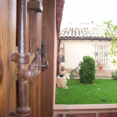 Estrella Del Camino *